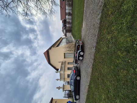 Sajenje medovitih rastlin 3